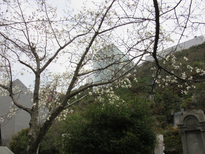 b0014732_13302381.jpg