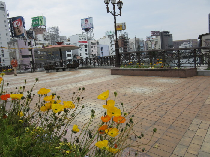 b0014732_13352526.jpg