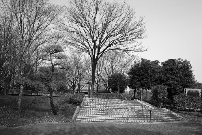 e0191232_16500801.jpg