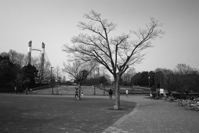 e0191232_16504725.jpg