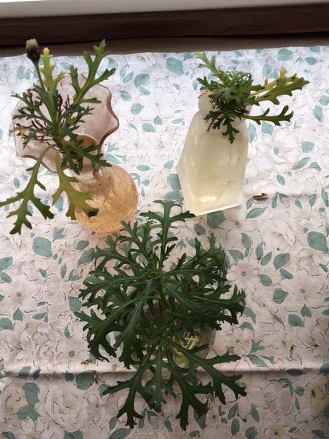 f0332332_18184427.jpg