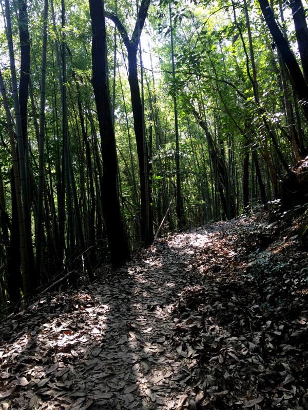 賑やかな３月の操山・８キロ_b0057140_16162459.jpg