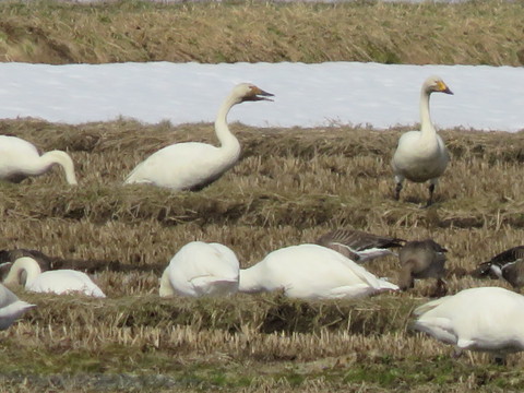 b0238249_1983420.jpg