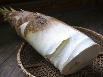 熊本産!”幻の白い「長生たけのこ」 平成29年度予約受付スタート!!_a0254656_16572594.jpg