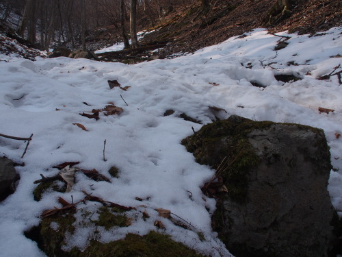 b0335256_18434840.jpg