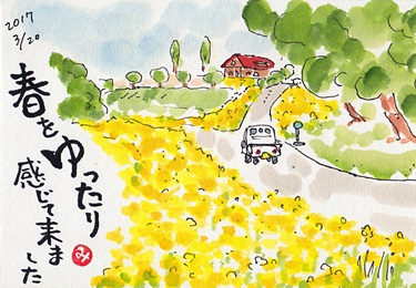 菜の花 きゅうママの絵手紙の小部屋 菜の花 きゅうママの絵手紙の小部屋
