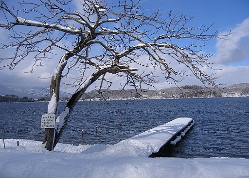 f0026274_16042315.jpg