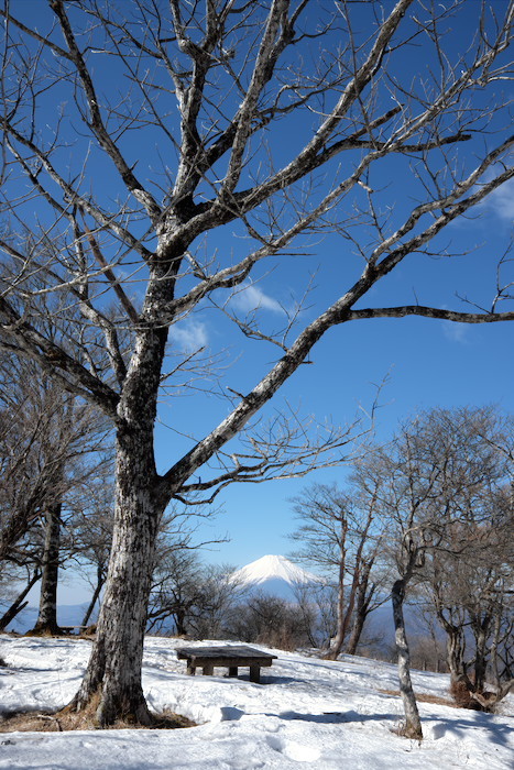 檜洞丸　その2_b0339488_19454199.jpg