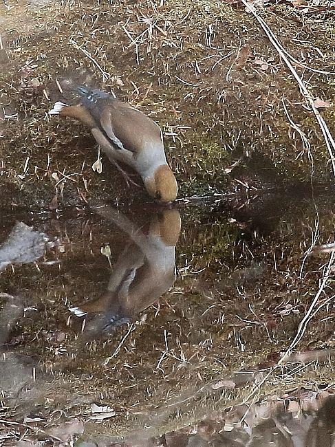 d0334291_16443080.jpg