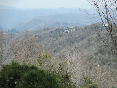 a0206695_13283110.jpg