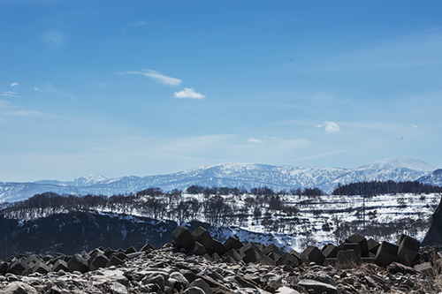f0003598_2017614.jpg