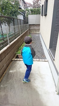 幼稚園のマラソン大会_d0248501_23232149.jpg