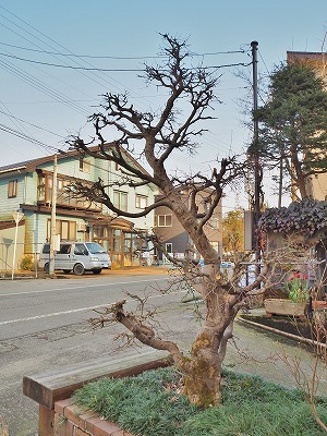兼業農家は春への準備作業の一日でした_c0336902_18392515.jpg