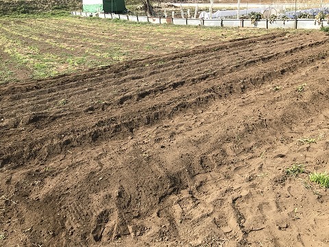 e0270403_10365561.jpg
