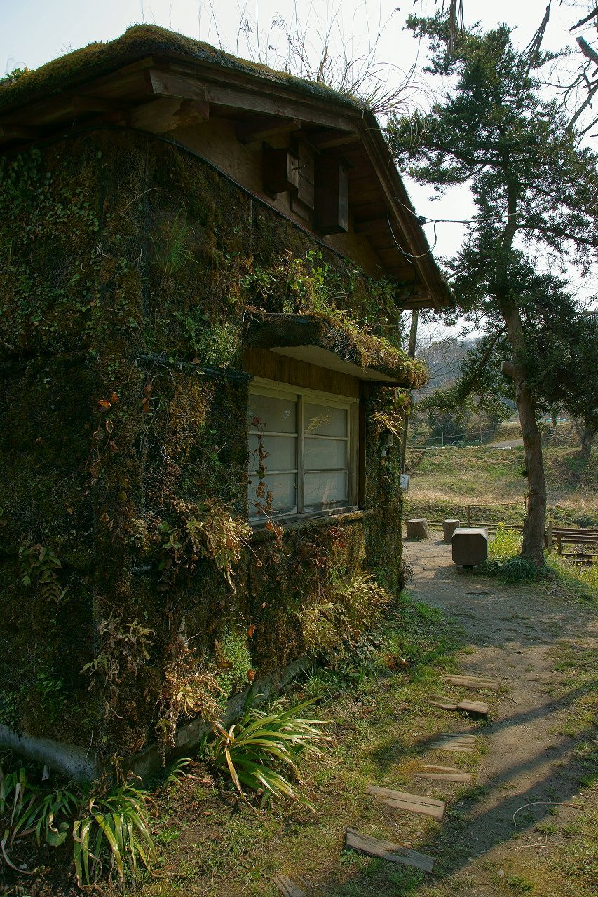 菜の花の小湊鉄道へ～④月崎駅にて_b0225108_23042252.jpg