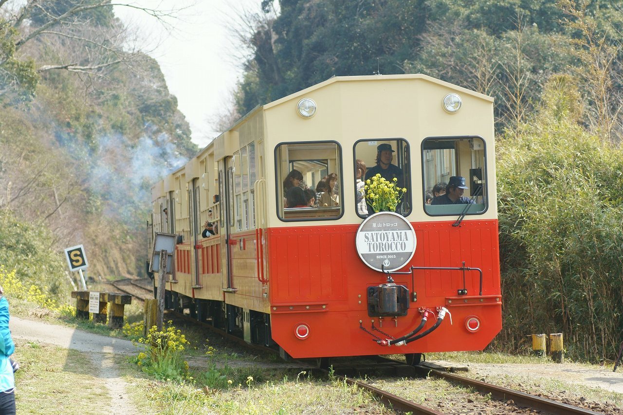 菜の花の小湊鉄道へ～⑥里山トロッコ折り返し_b0225108_23203013.jpg