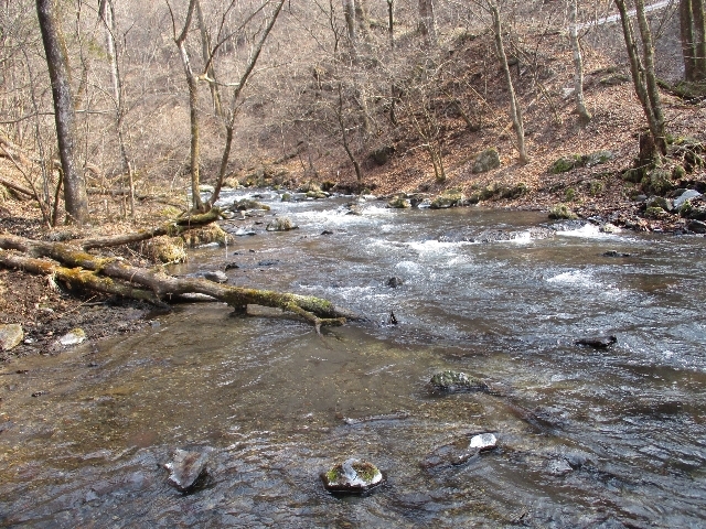 a0138609_14114893.jpg