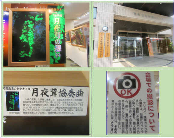 f0231709_19444360.png