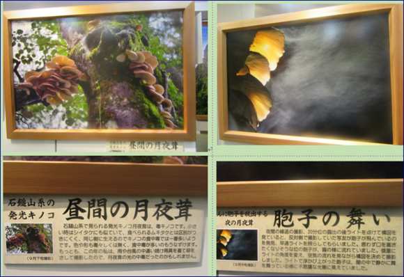 f0231709_2016351.png