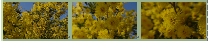 f0231709_2031272.png