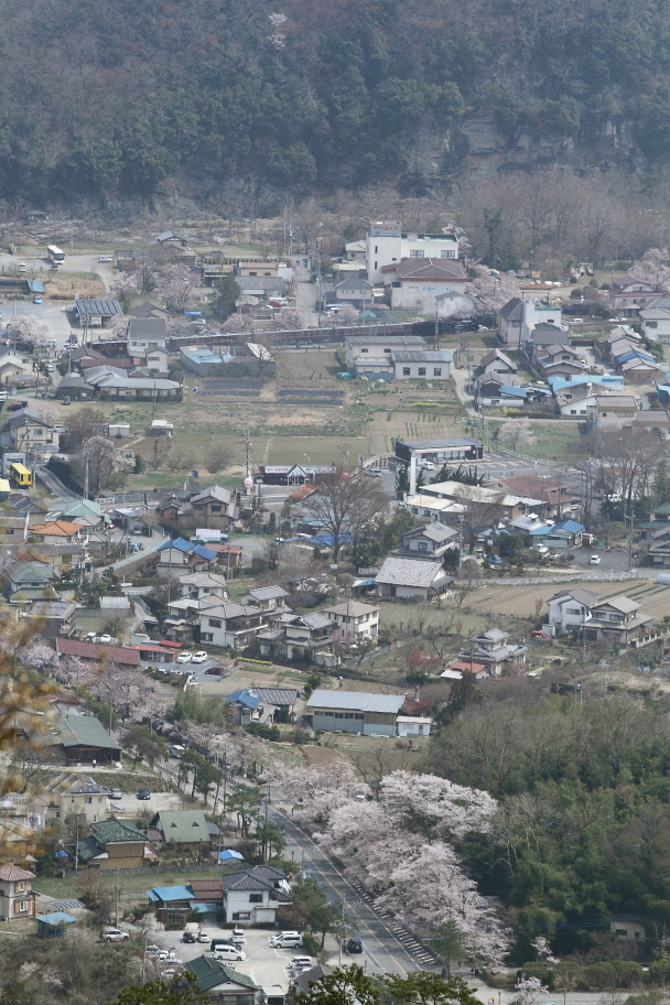 桜咲く参道 - 2016年春・秩父 -_b0190710_22571846.jpg