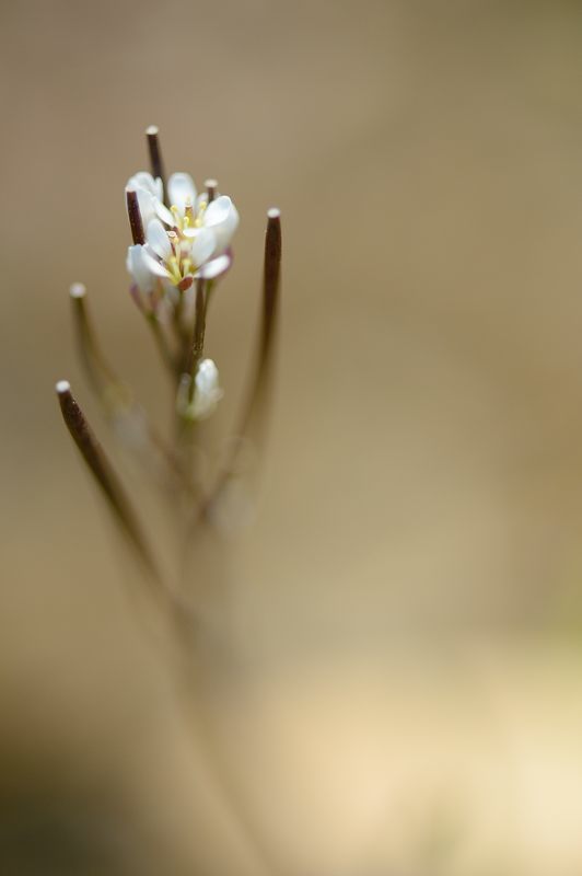 f0032011_19313014.jpg