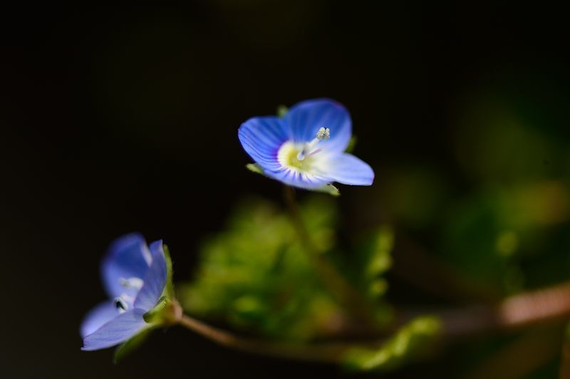 f0032011_19313217.jpg