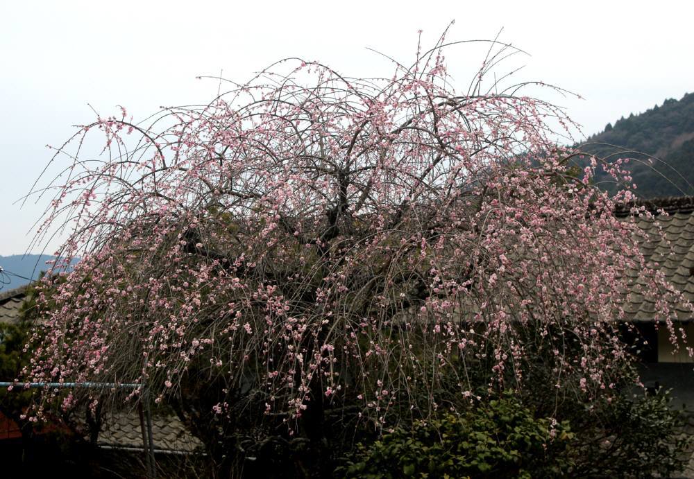 f0212511_22475285.jpg
