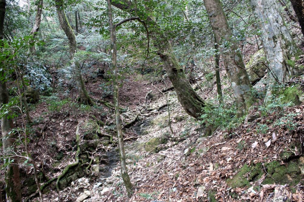 f0212511_23244918.jpg