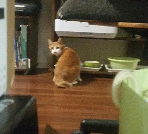 e0144012_09244883.jpeg