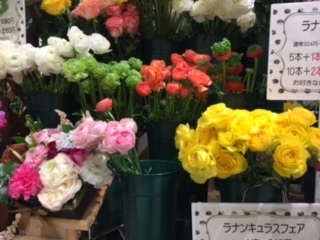 ストレッチして伸びのび~ NO.531_c0102513_22534323.jpg