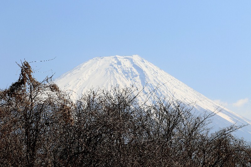 e0204314_08470940.jpg