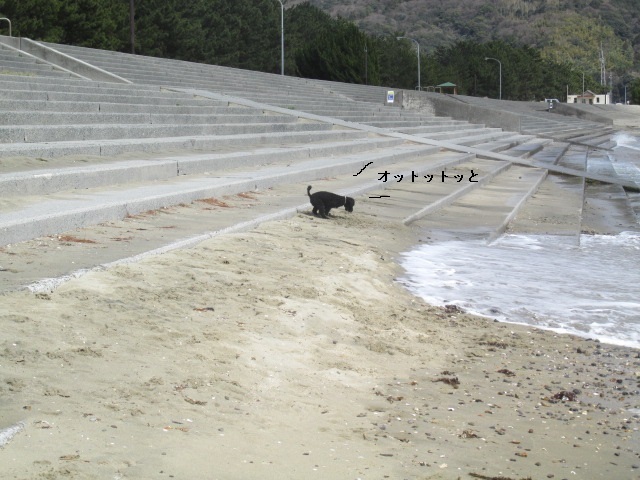 f0341616_15213130.jpg