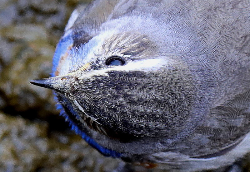 b0179023_22112557.jpg