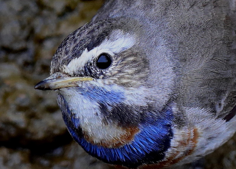 b0179023_2285831.jpg