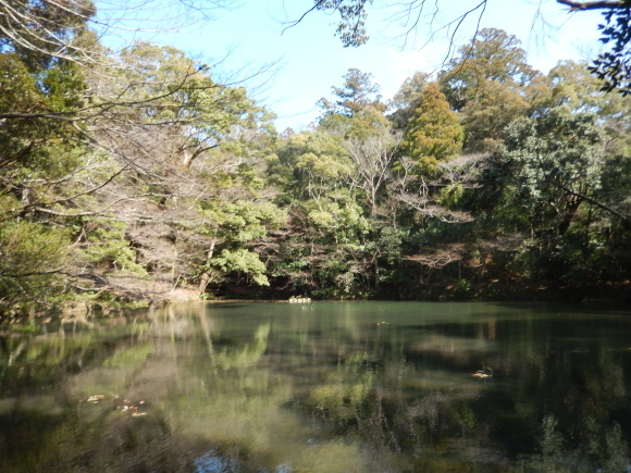 a0226627_11002014.jpg