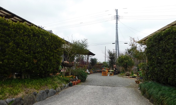 f0042737_10564072.jpg