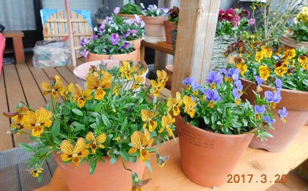 f0042737_11184448.jpg