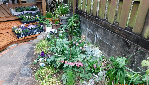 f0042737_11311457.jpg