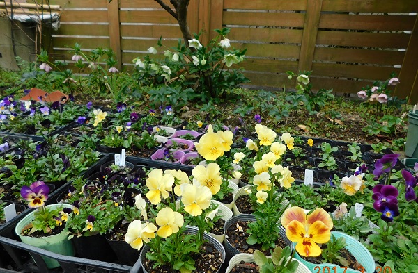 f0042737_1131785.jpg