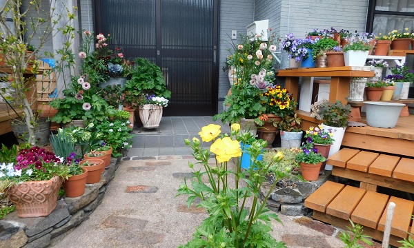 f0042737_117645.jpg