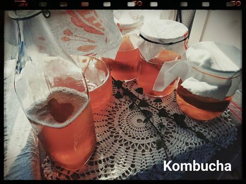 セレブも好むKombucha_a0105740_17522246.jpg