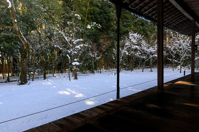 高桐院・雪景色_f0155048_2215361.jpg