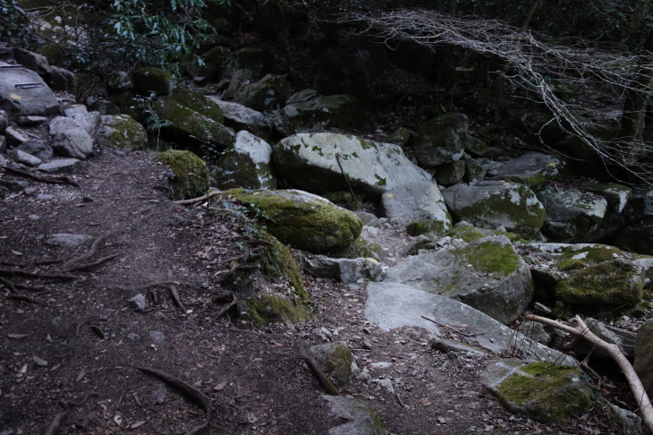 d0345153_22243358.jpg