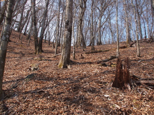 b0335256_09270017.jpg