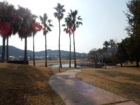 ’17,3,21(火)春を探しに~~~お散歩!_f0060461_08102925.jpg