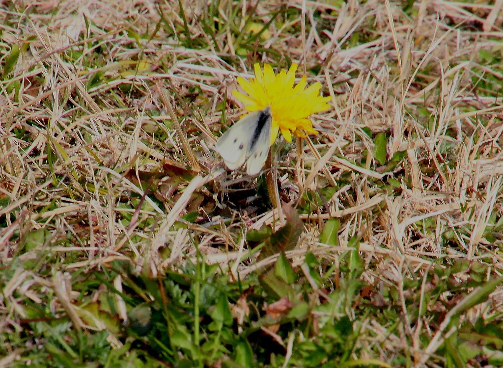 b0320769_09304271.jpg