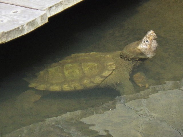 c0105569_01012491.jpg