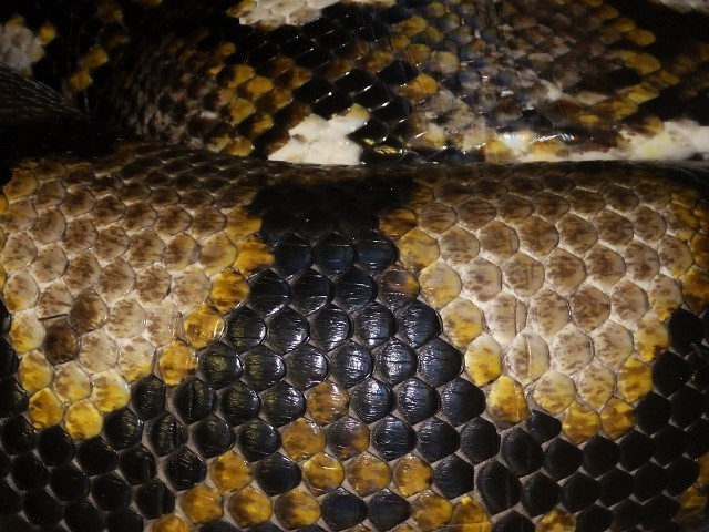 c0105569_01014290.jpg