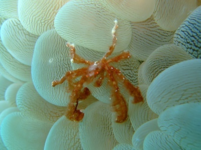 b0033573_21503986.jpg